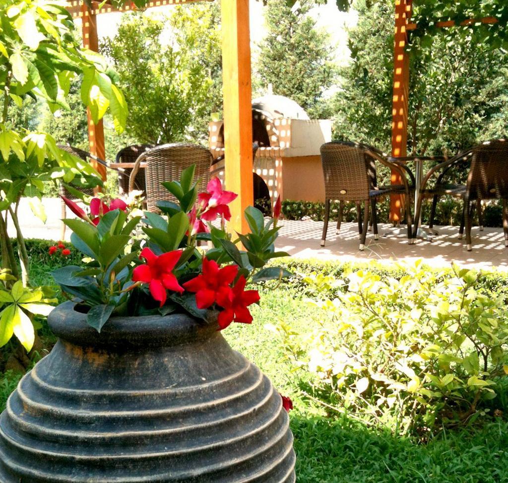 Golden Rose Suites Kolymbari Exterior photo